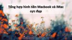 Hình nền đẹp cho macbook air