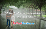 Hình nền mưa lãng mạn