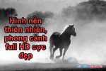 Hình nền phong cảnh thiên nhiên đẹp